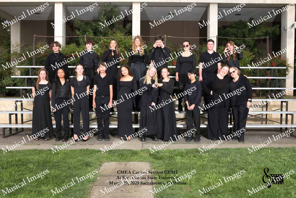 Musical Images